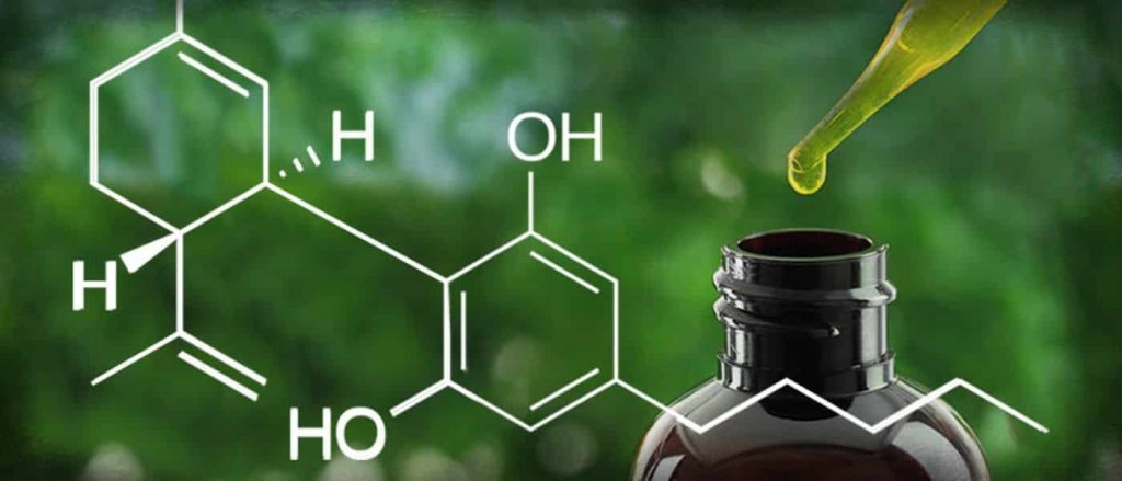 component of cbd oil