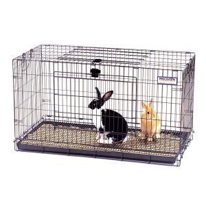 rabbit cage