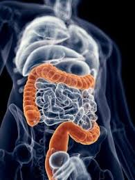 Colonic Irrigation Important