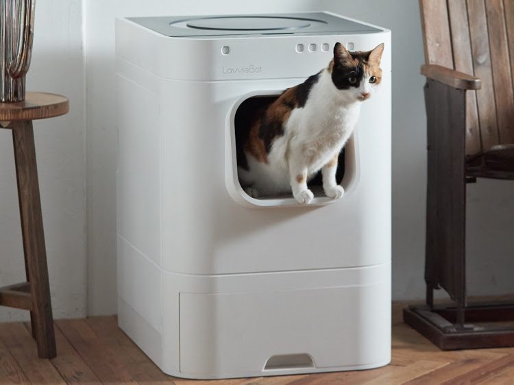 Cat Litter Box