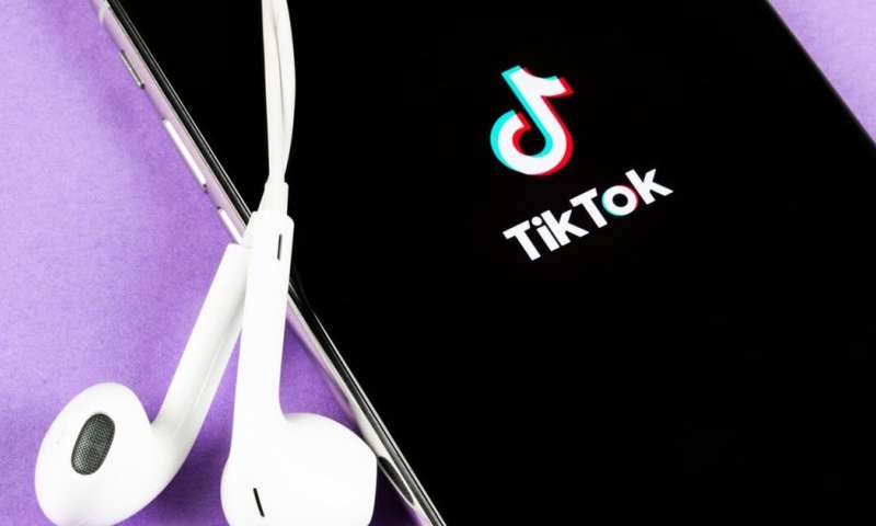 Tiktok Followers