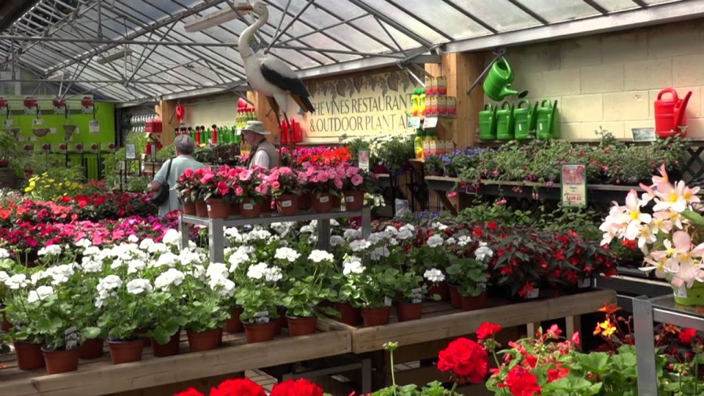 Buying Garden Centre