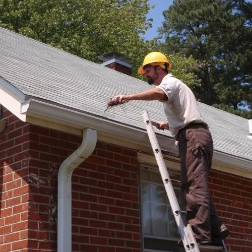 Gutter Cleaning