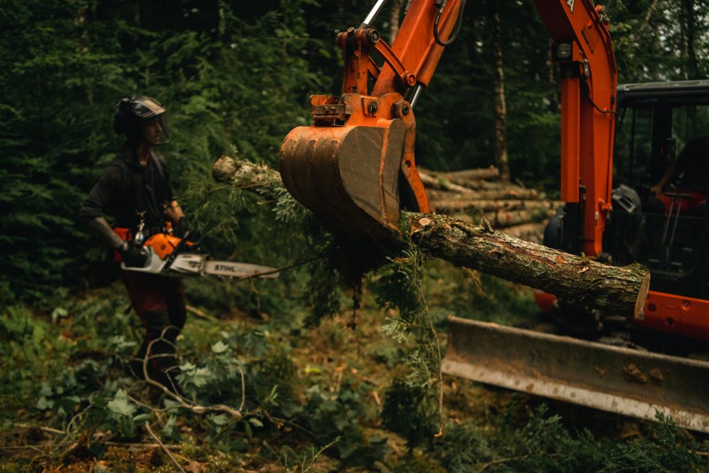 Land Clearing Service