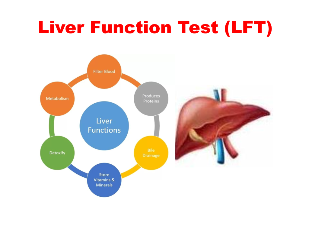 Liver Function Tests