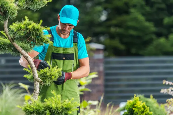 Georgia Roots Landscaping Services